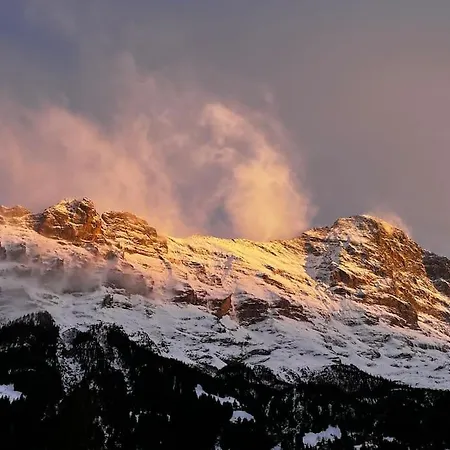 Eiger Nest شقة جريندلوالد