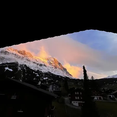 Διαμέρισμα Eiger Nest *