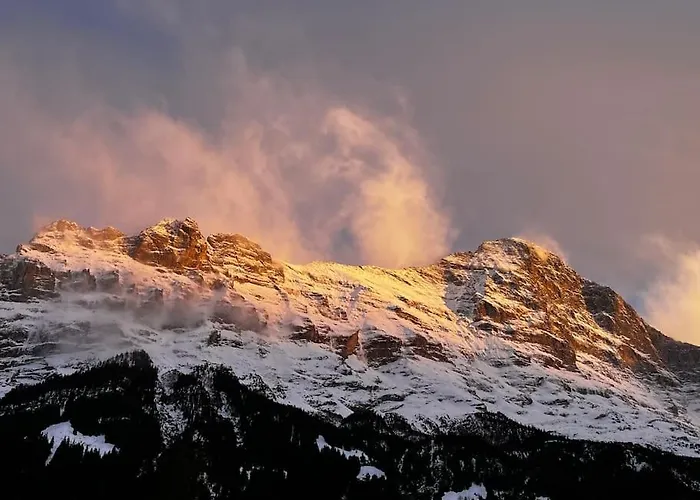 Eiger Nest Διαμέρισμα Γκρίντελβαλντ